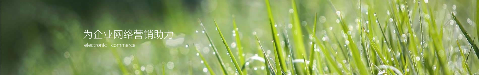 ݲе޹˾